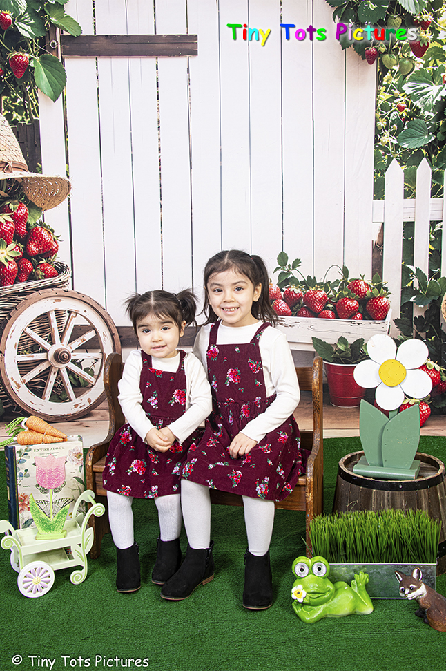 Strawberry Orchard