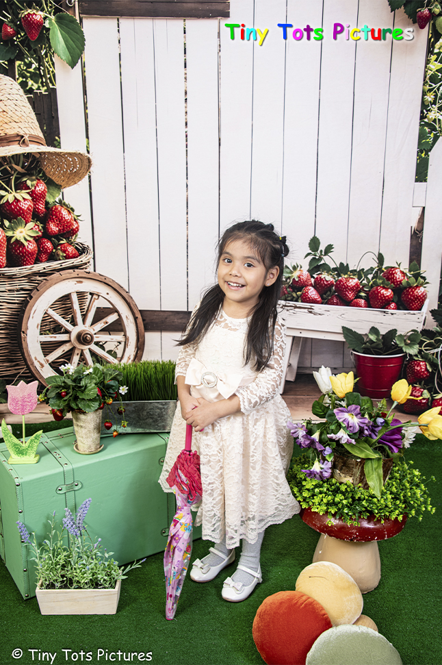 Strawberry Orchard
