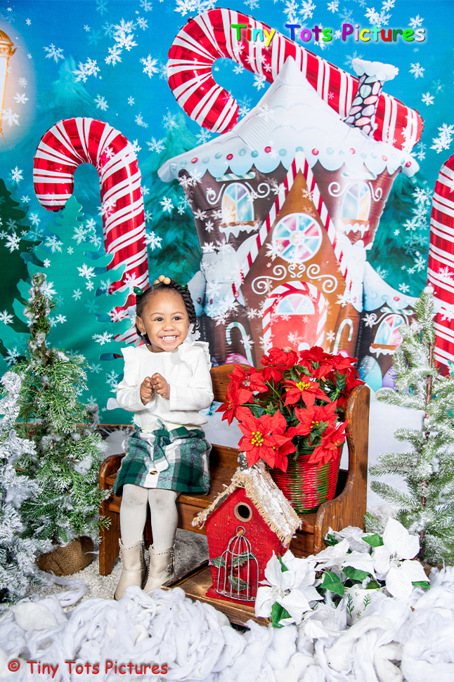Candy Winter House