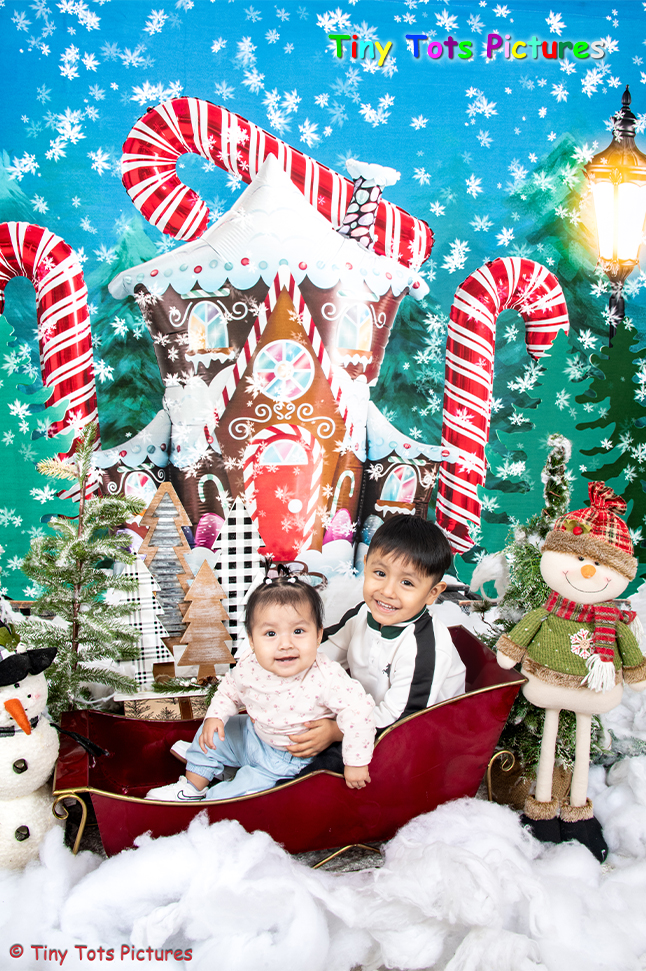 Candy Winter House