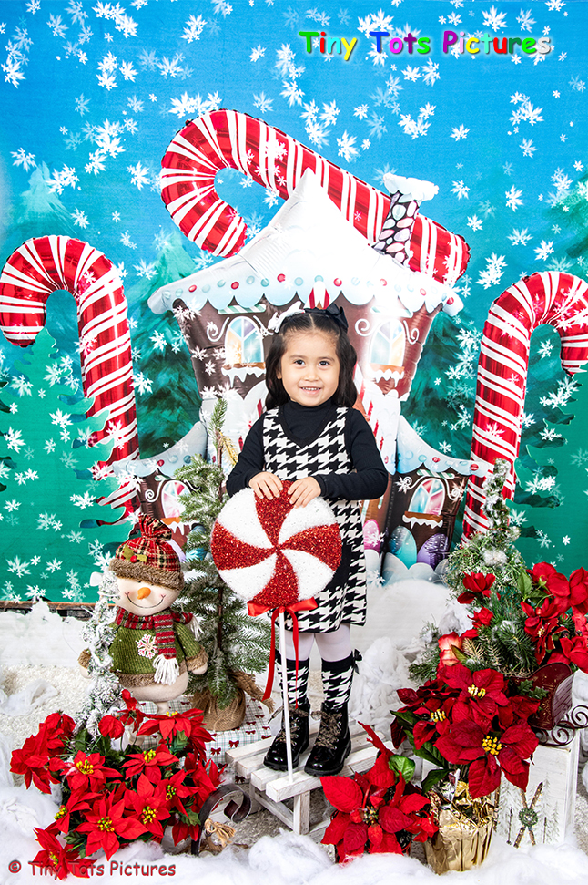 Candy Winter House