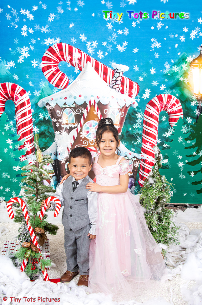 Candy Winter House
