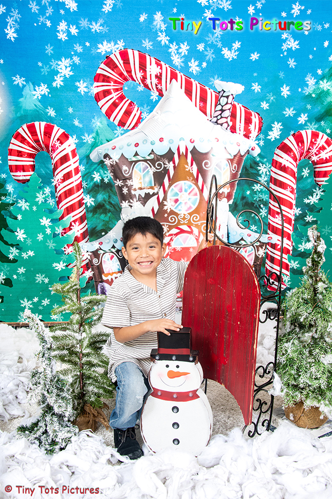Candy Winter House