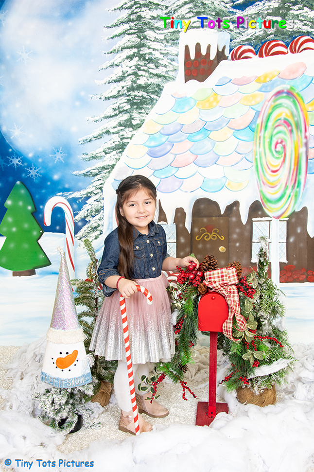 Gingerbread house