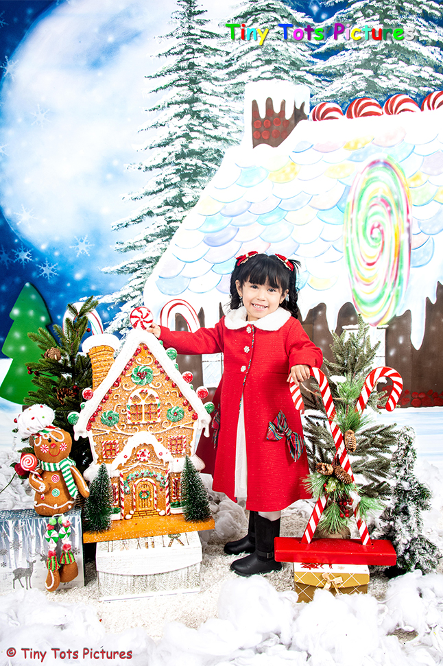 Gingerbread House